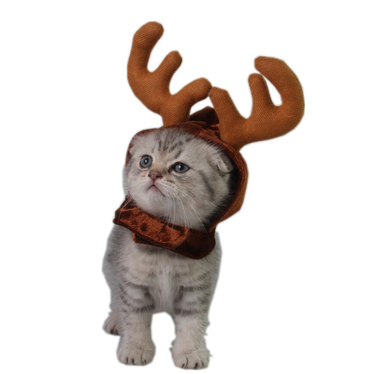Teddy Cat Antlers